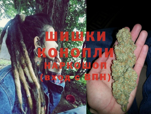 стаф Сатка