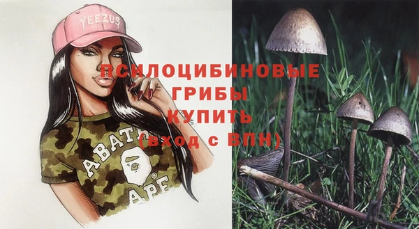 2c-b Абаза