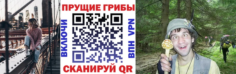 Галлюциногенные грибы Magic Shrooms  наркотики  Весьегонск 